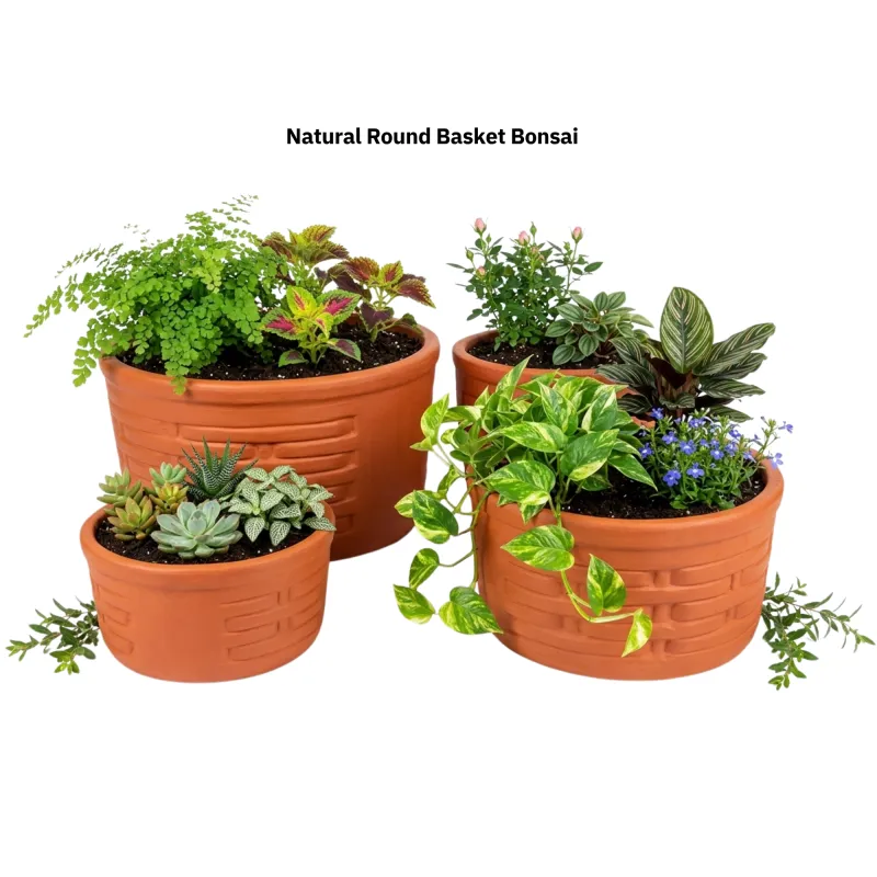 Natural Round Bonsai Basket  S/4