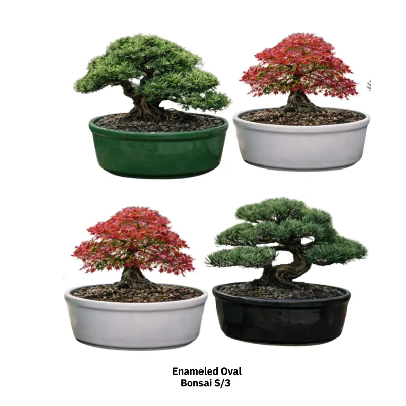 Bonsai Enameled Oval S/3