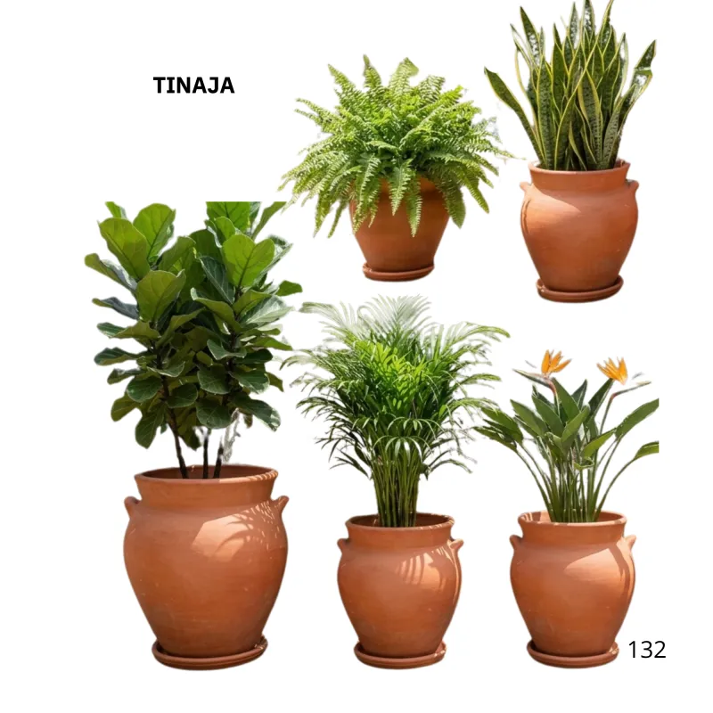 TINAJA