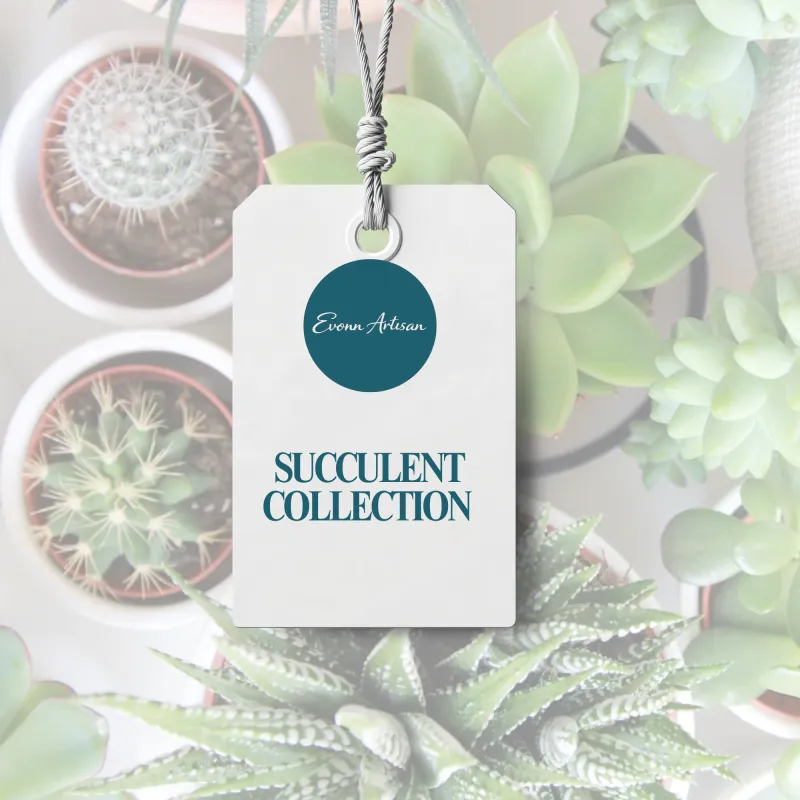 Succulent Collection