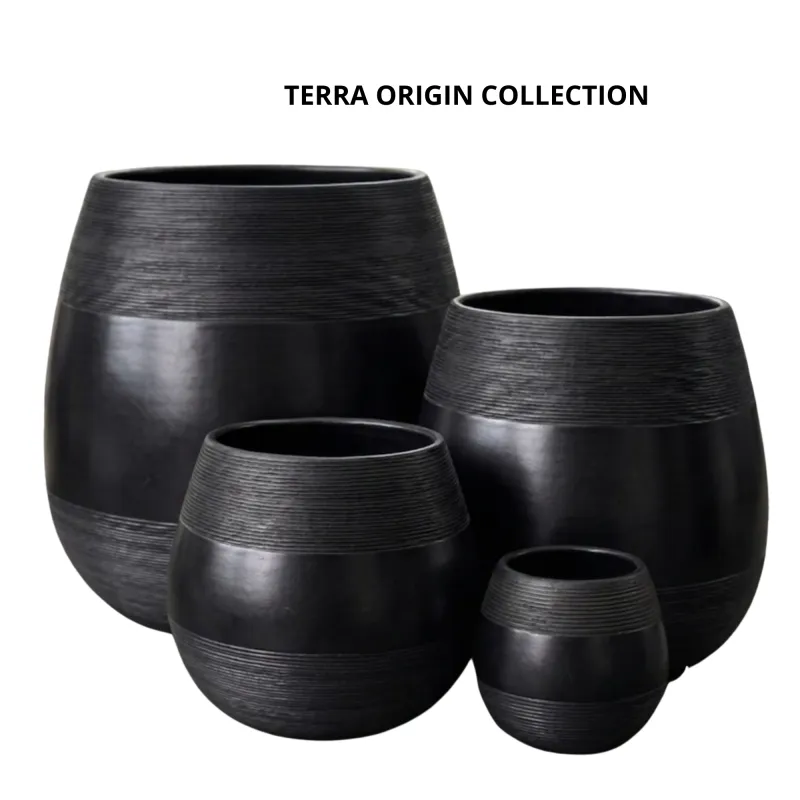 TERRA ORIGIN COLLECTION