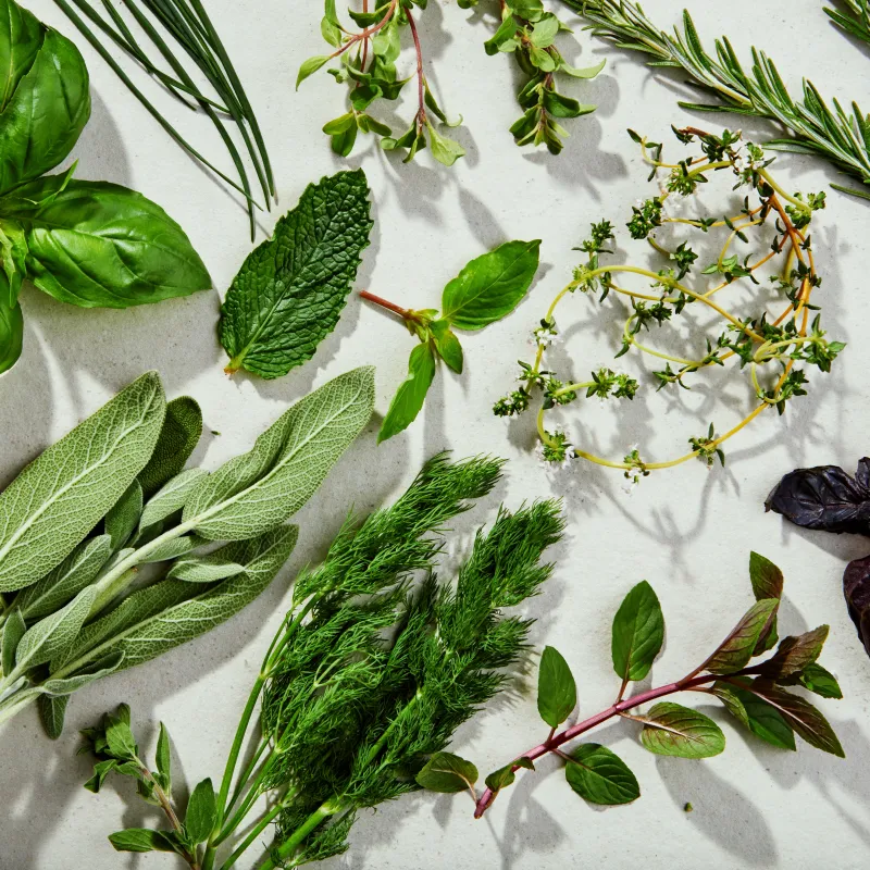 Culinary Herbs