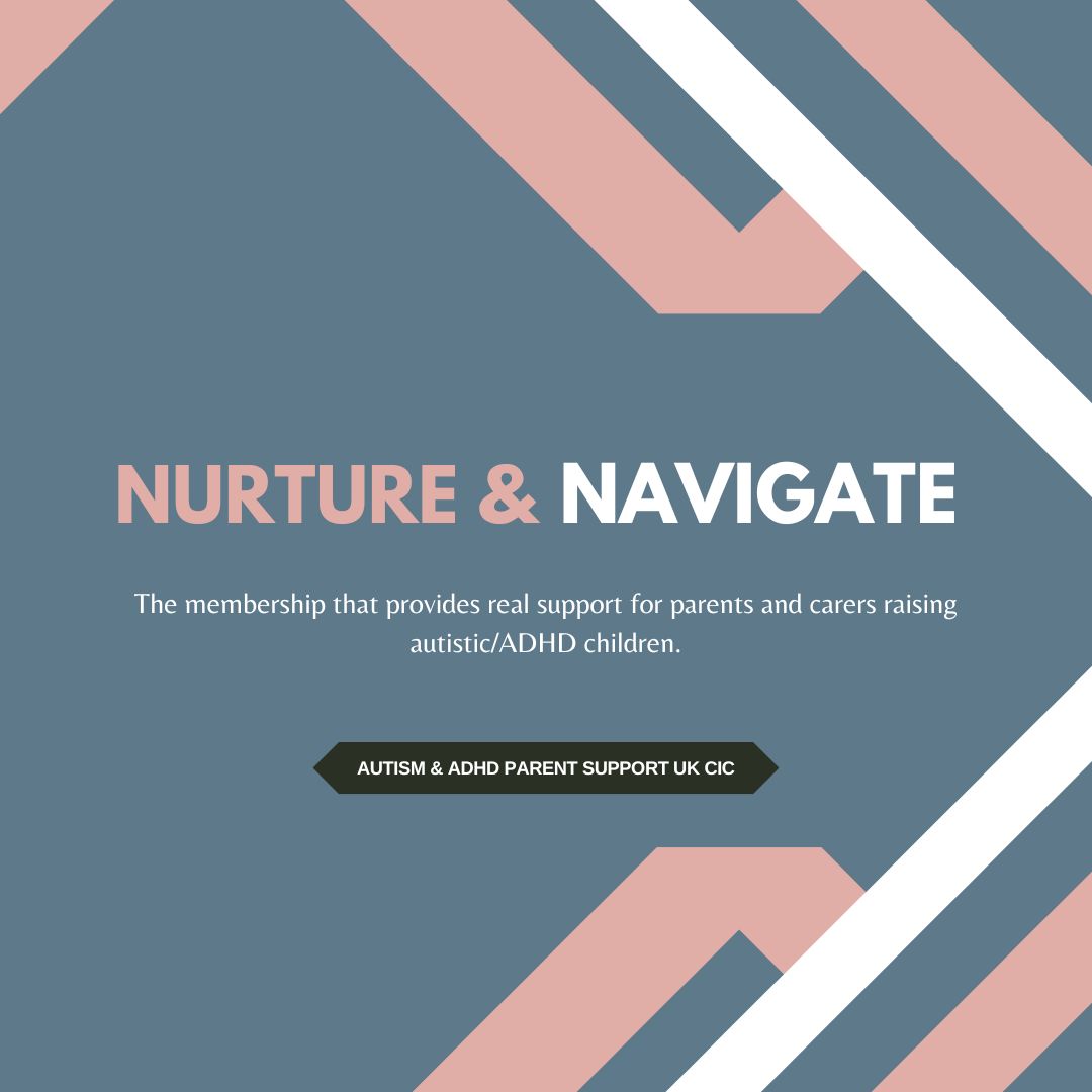 Nurture & Navigate (Founders Rate)