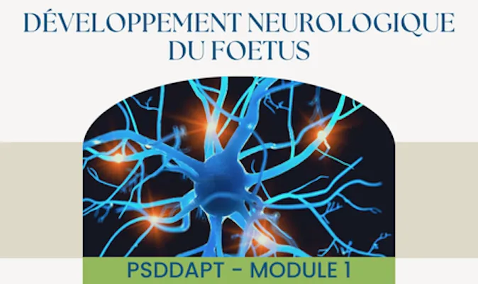 P.S.D.D.A.P.T.©: Module 1 - Développement neurologique du fœtus