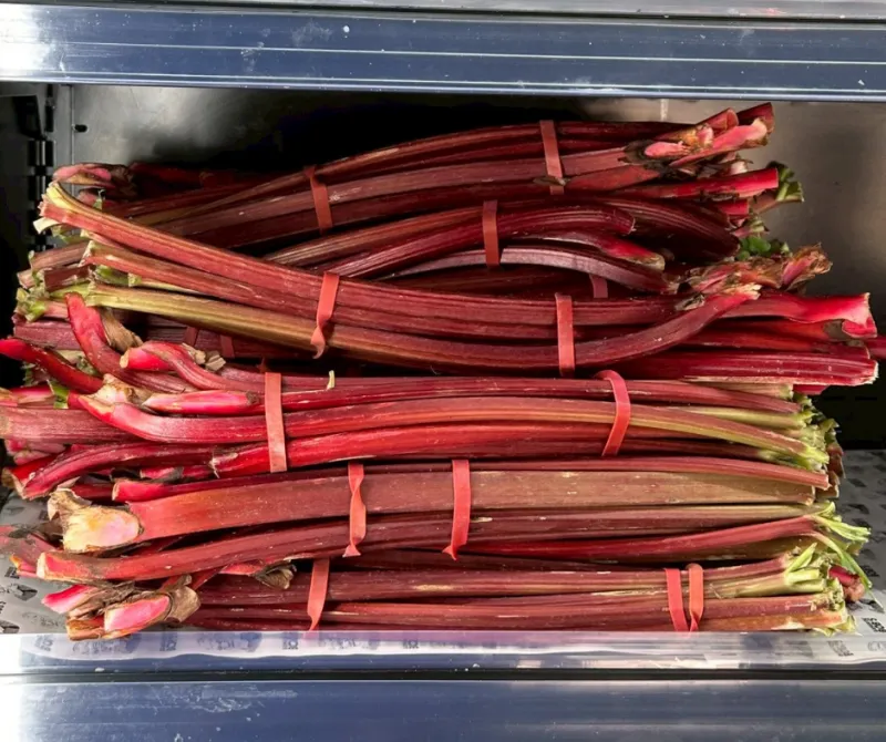 Fresh Australian Rhubarb