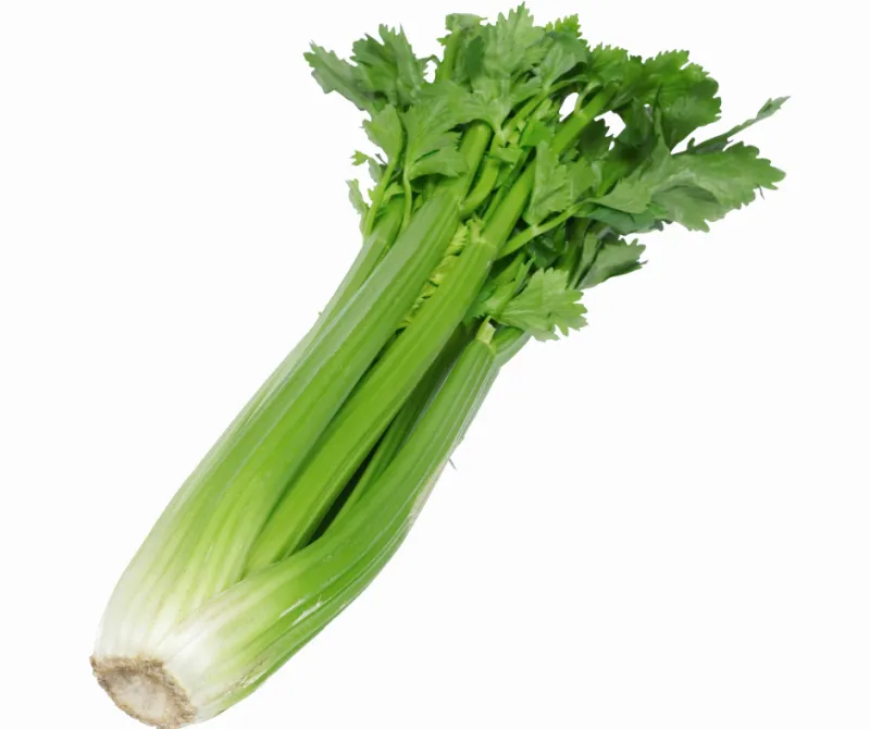 Fresh Australian Celery