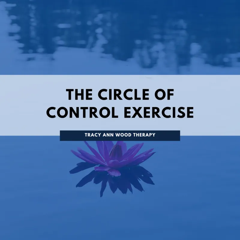 Circle of Control Exercise Printable pdf
