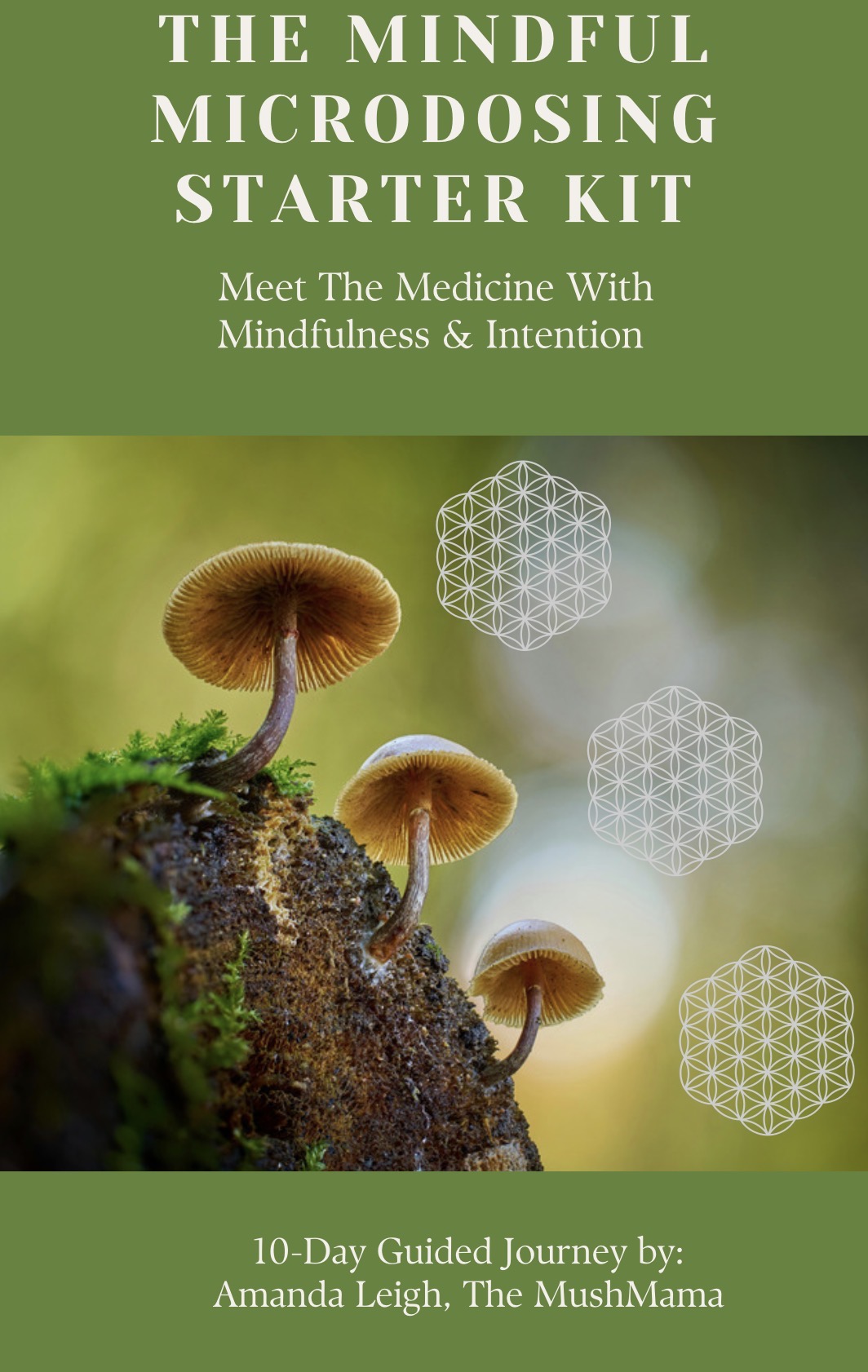 The Mindful Microdosing Starter Kit