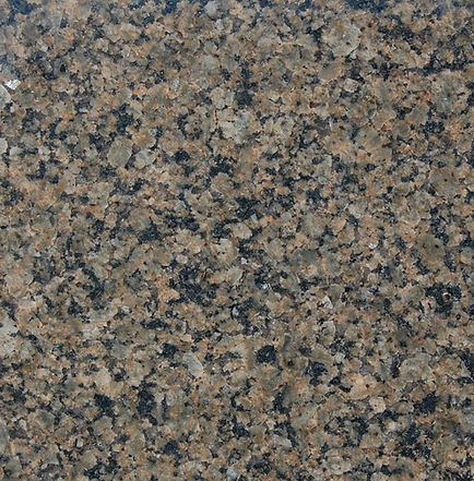 Tropical Brown