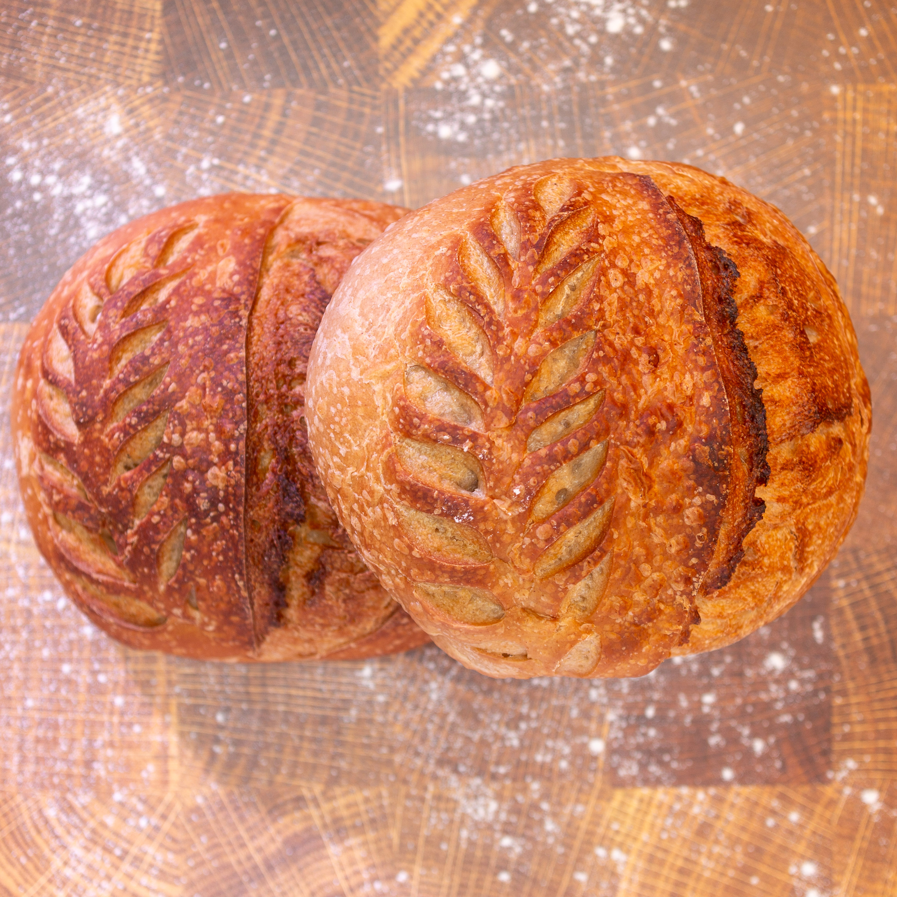 Double Idaho Sourdough Loaves