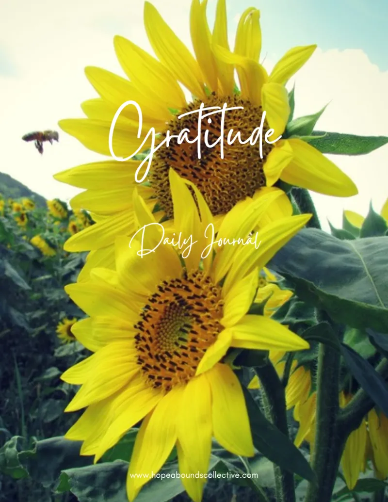Sunflower Daily Gratitude Journal $8