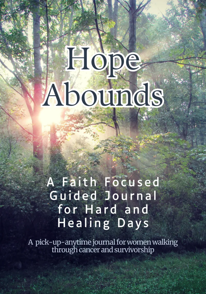 Digital Download Hope Abounds Guided Journal: A Faith Focused Guided Journal for Hard and Healing Days