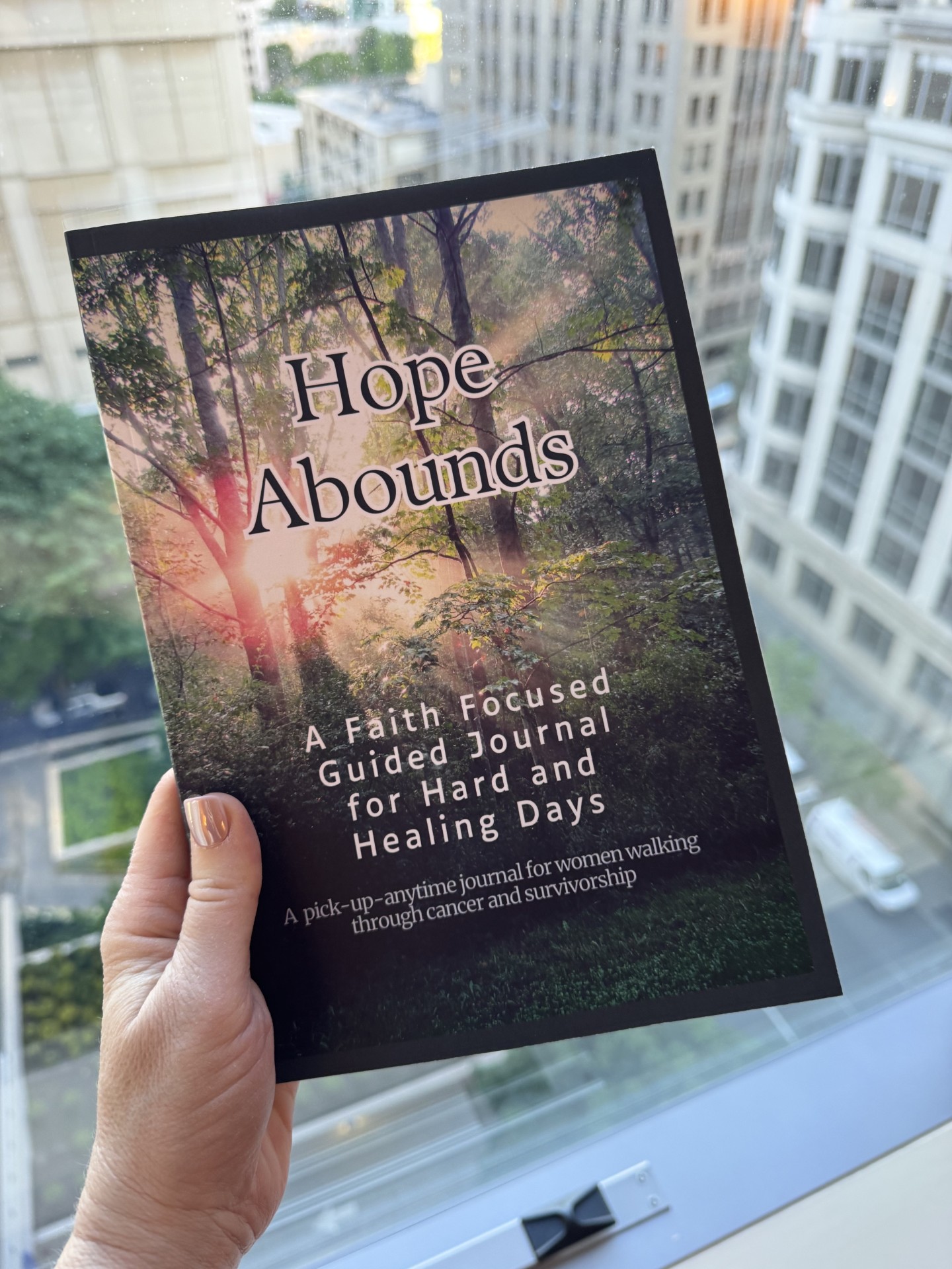 Hope Abounds Collective Hard Cover Guided Journal $24.99
