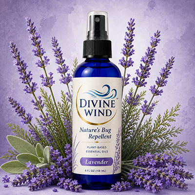 Lavender ($10 - $15)