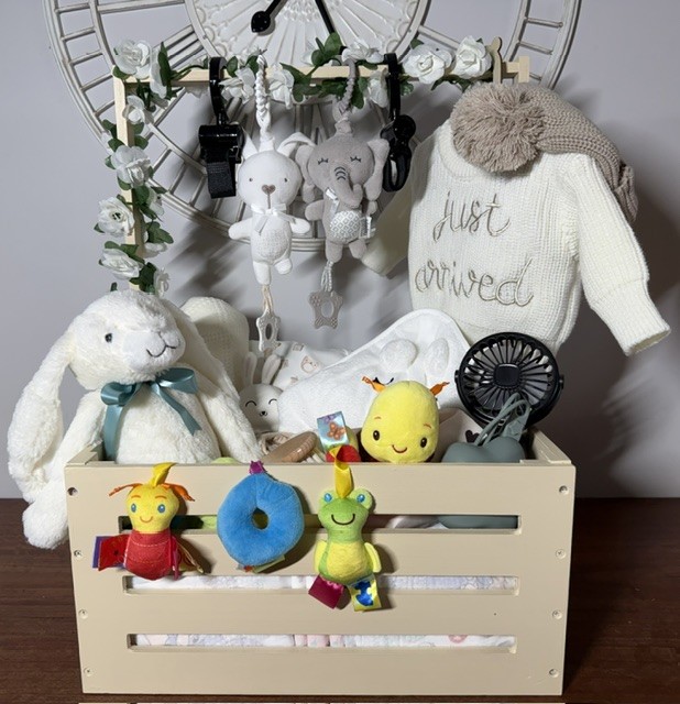Just Arrived Baby Box