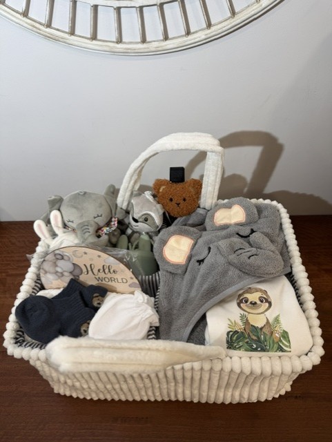 Baby Boy Gift Basket