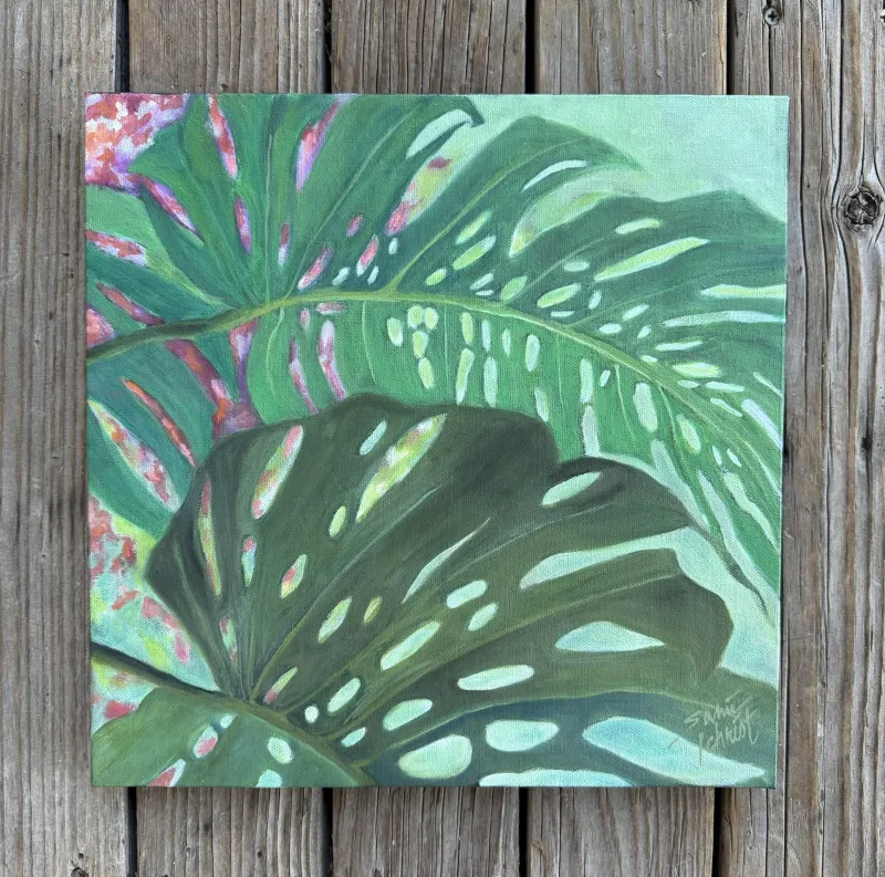 Monstera