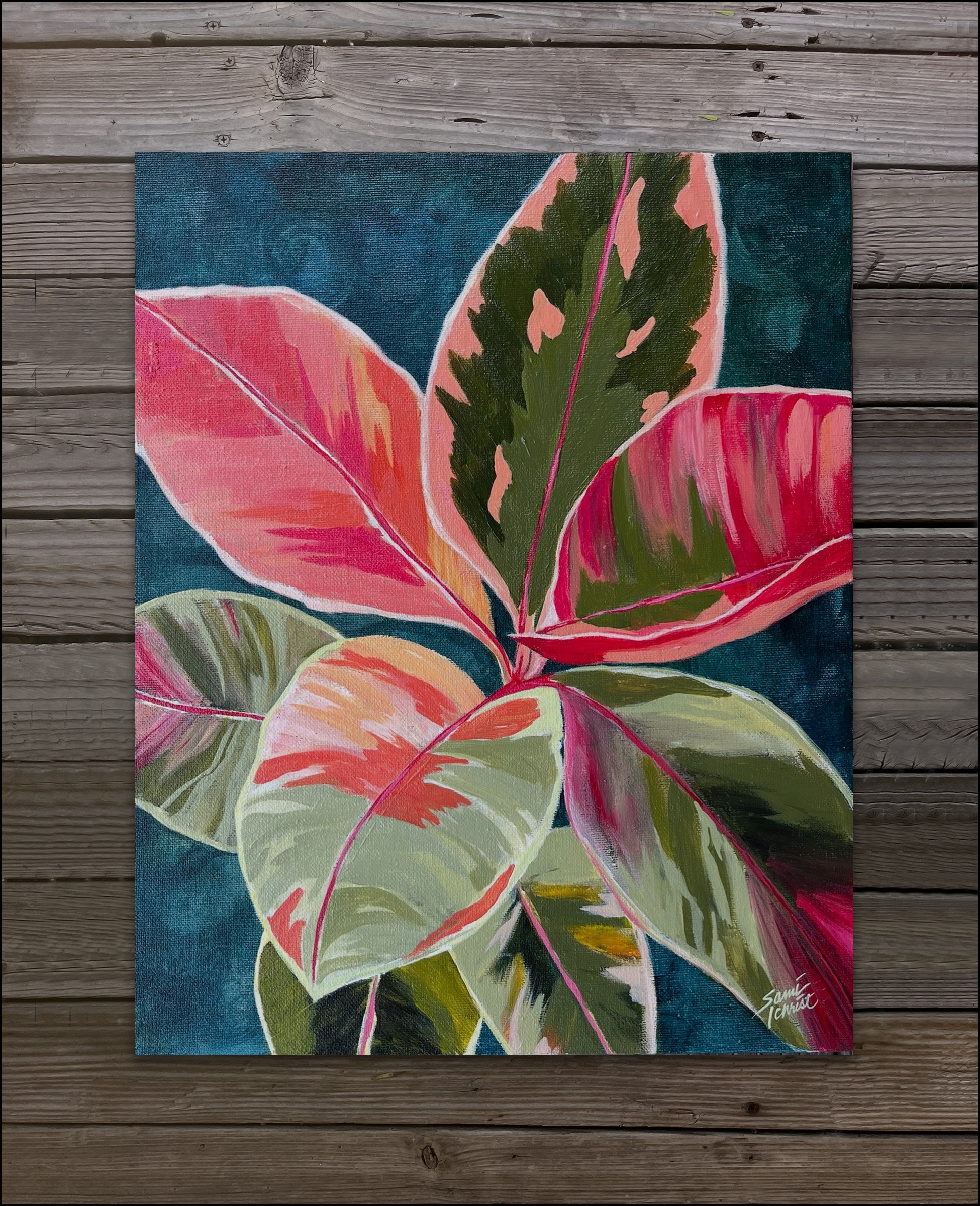 Croton Tropics