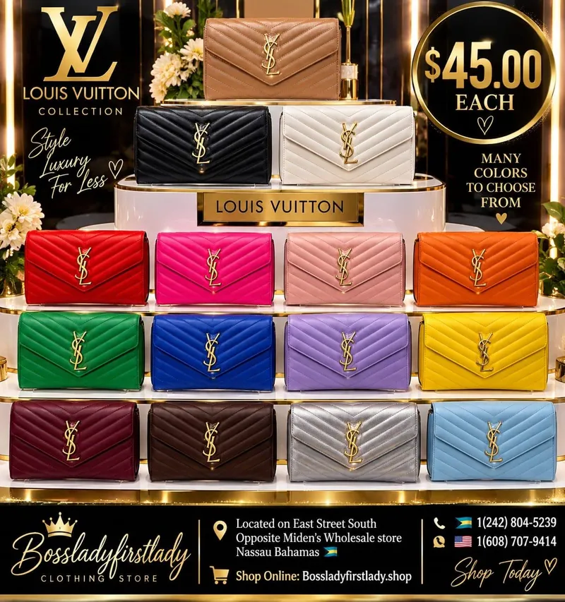 Purse Louis Vuitton 