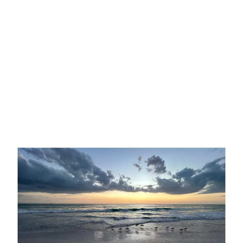 Seascape M006