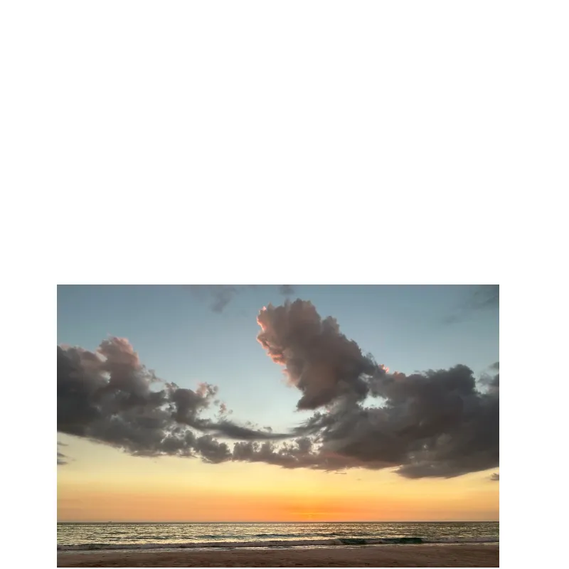 Seascape M009