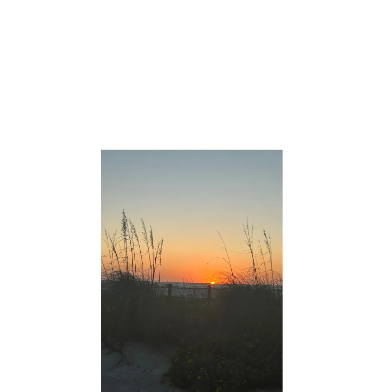 Seascape M020