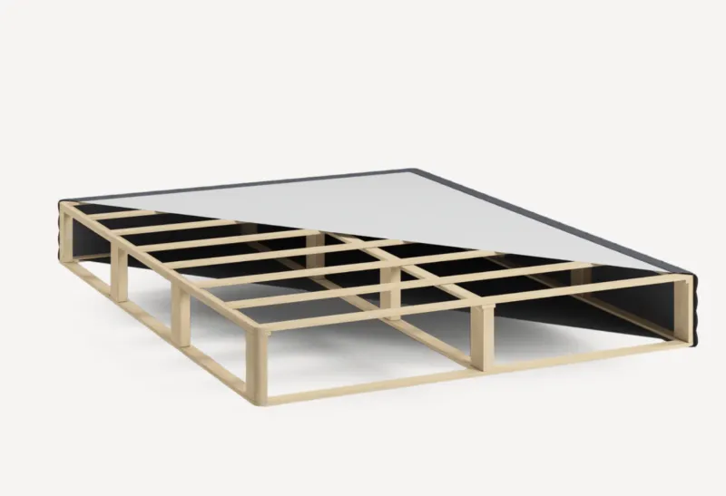 Foundation (Base)