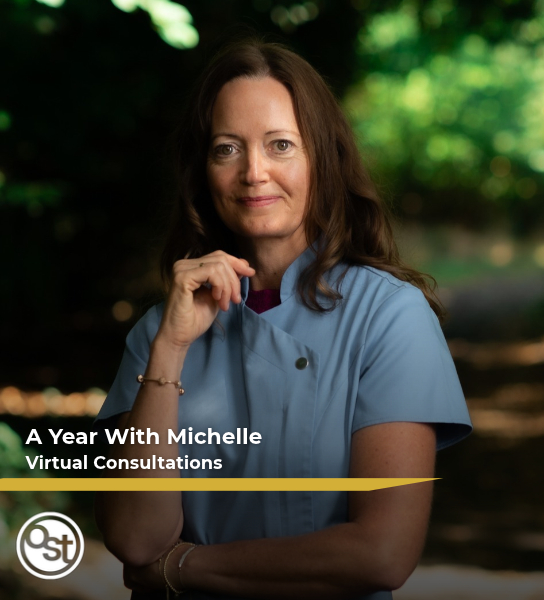 A Year With Michelle – Virtual Consultations