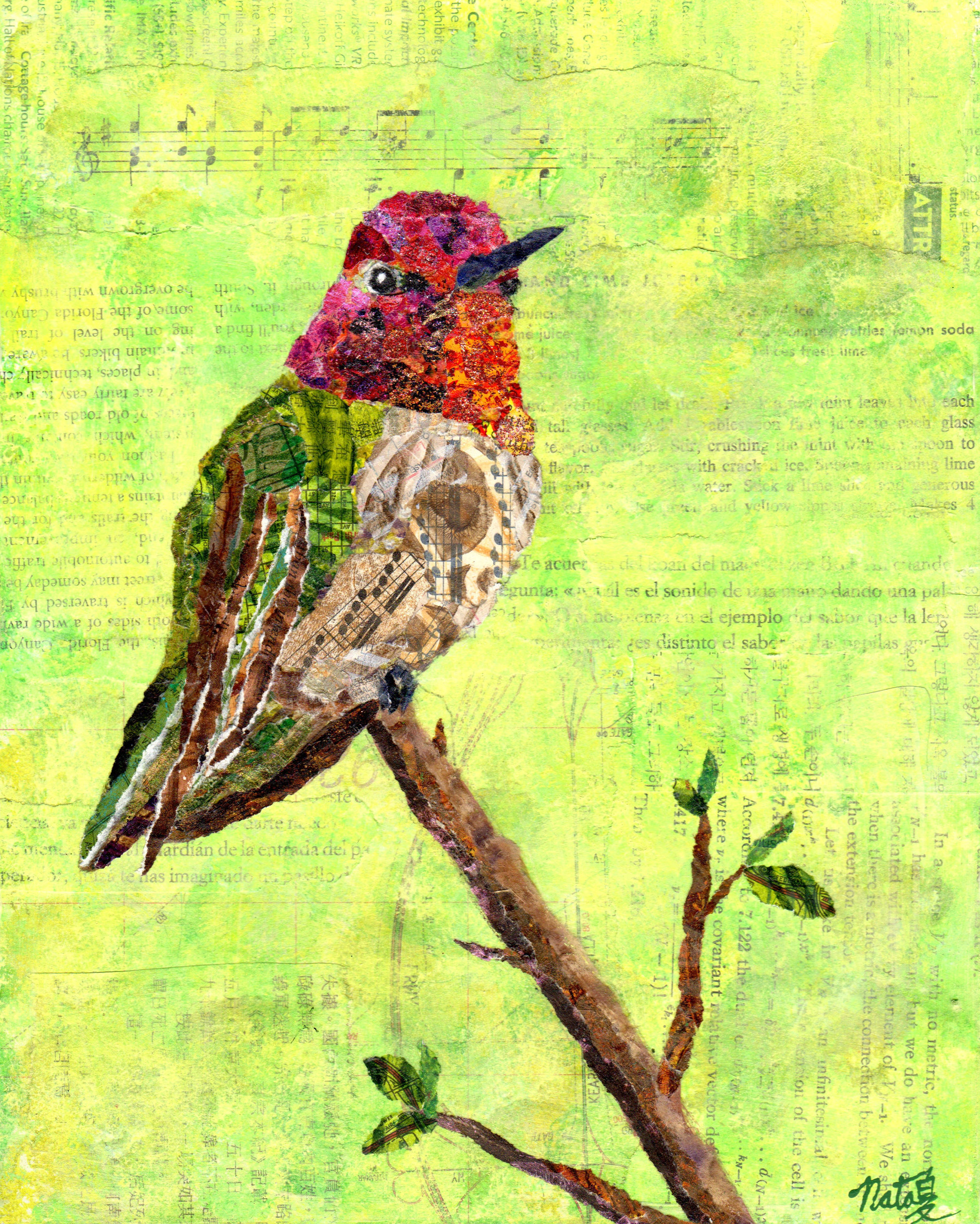 Jewels of the Sky: Anna's Hummingbird