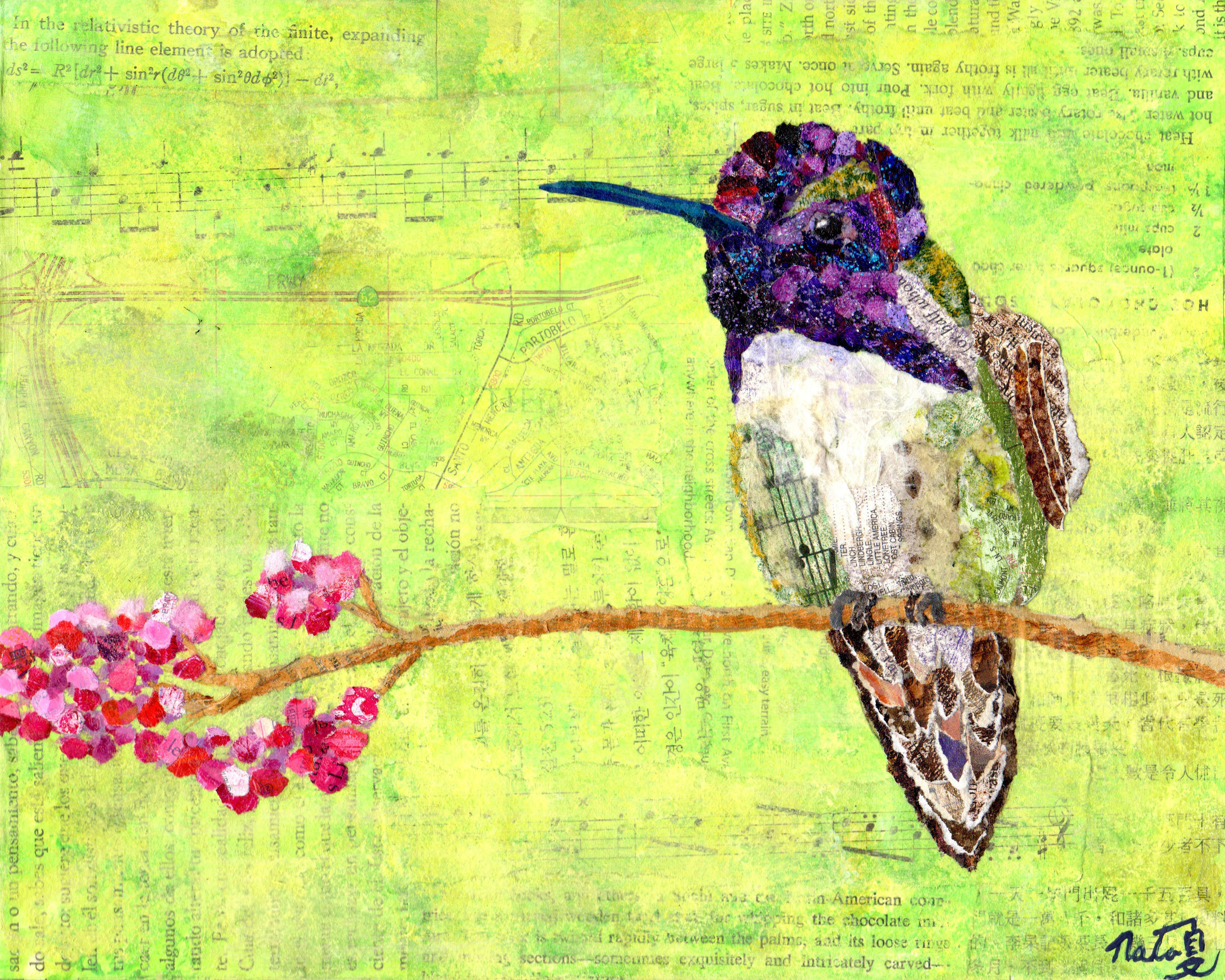 Jewels of the Sky: Costa's Hummingbird