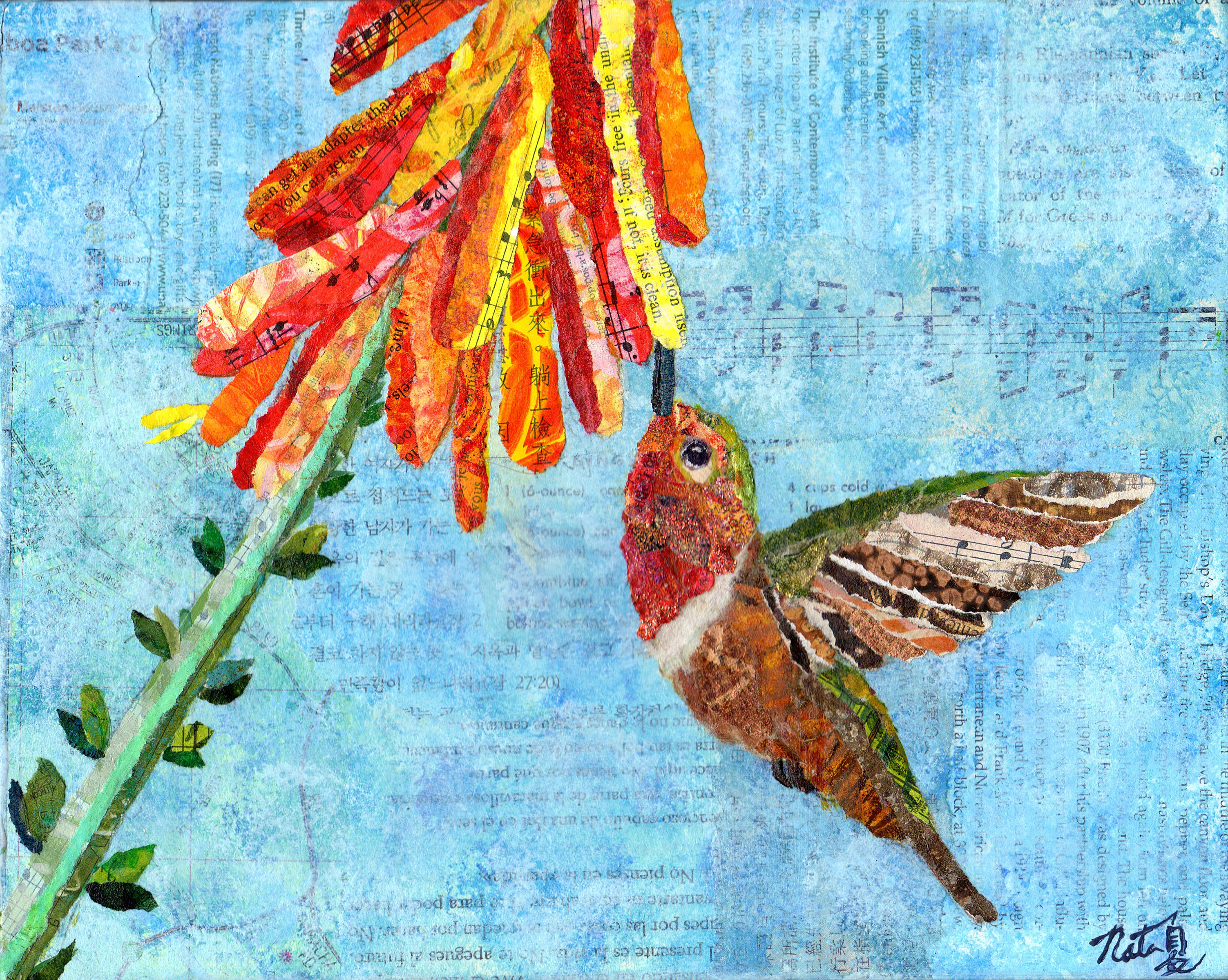 Jewels of the Sky: Rufous Hummingbird