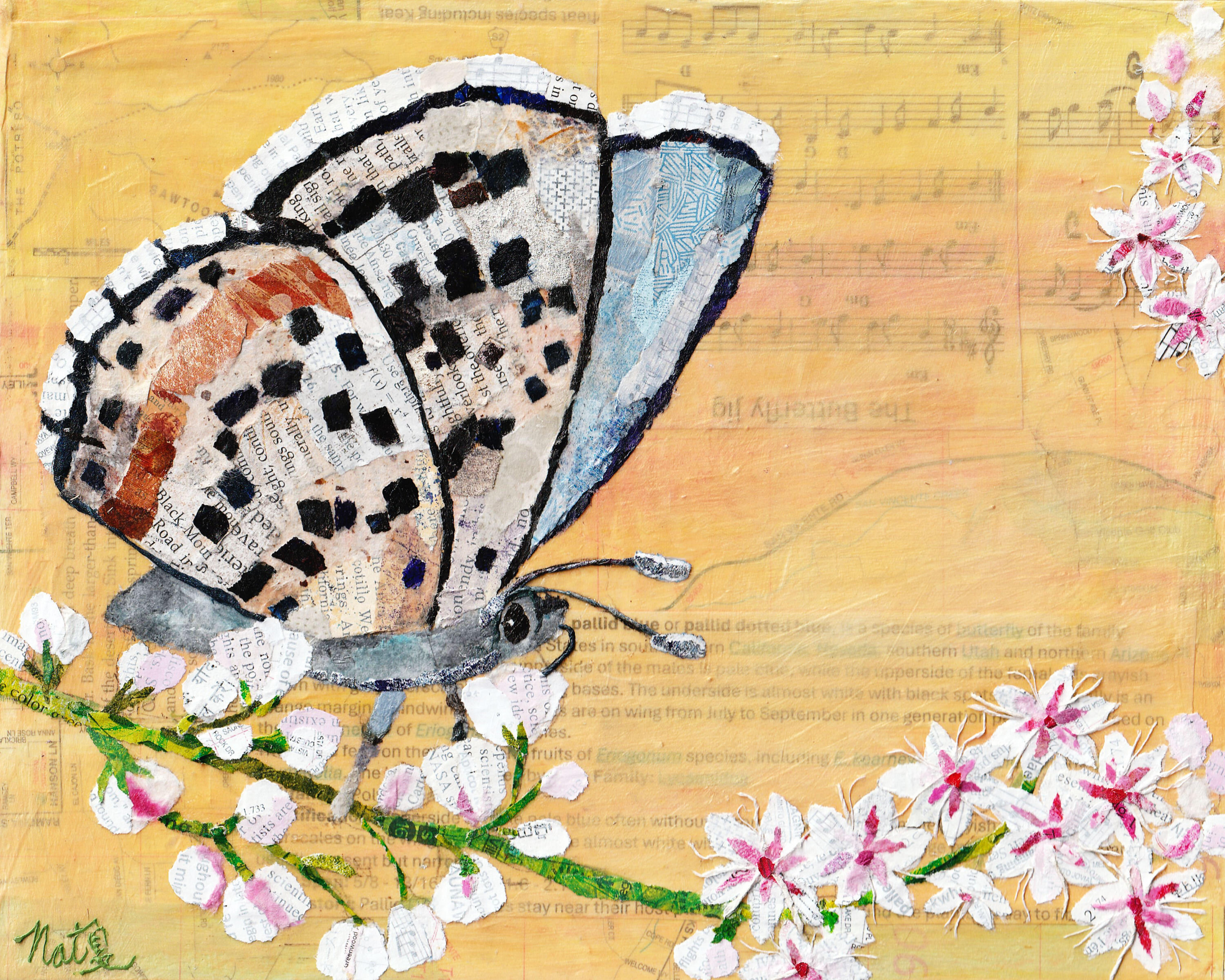 Bees, Butterflies, and Beyond: The Pallid Blue-Dotted Butterfly