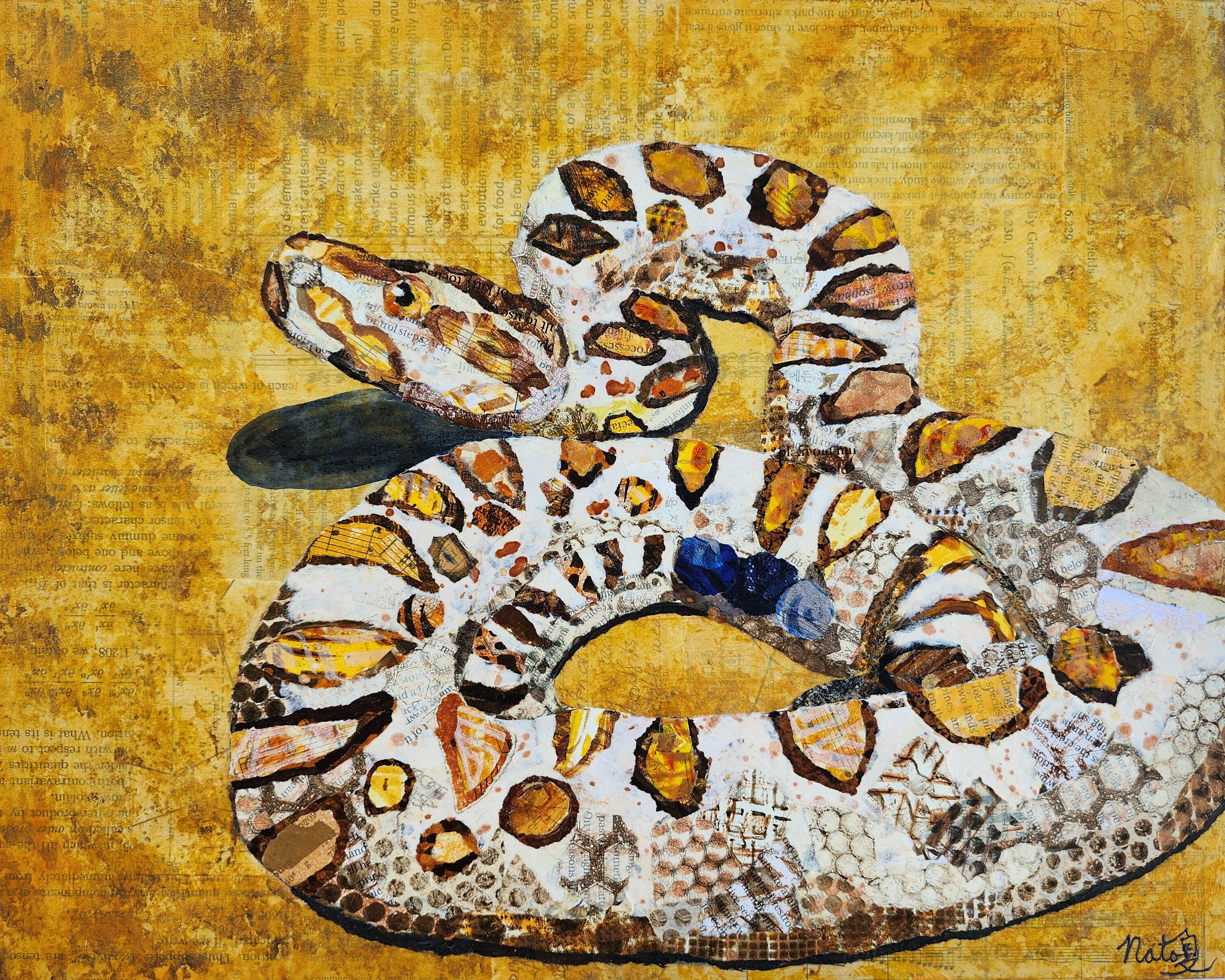 Wild Neighbors: Western Red Diamondback Rattlesnake