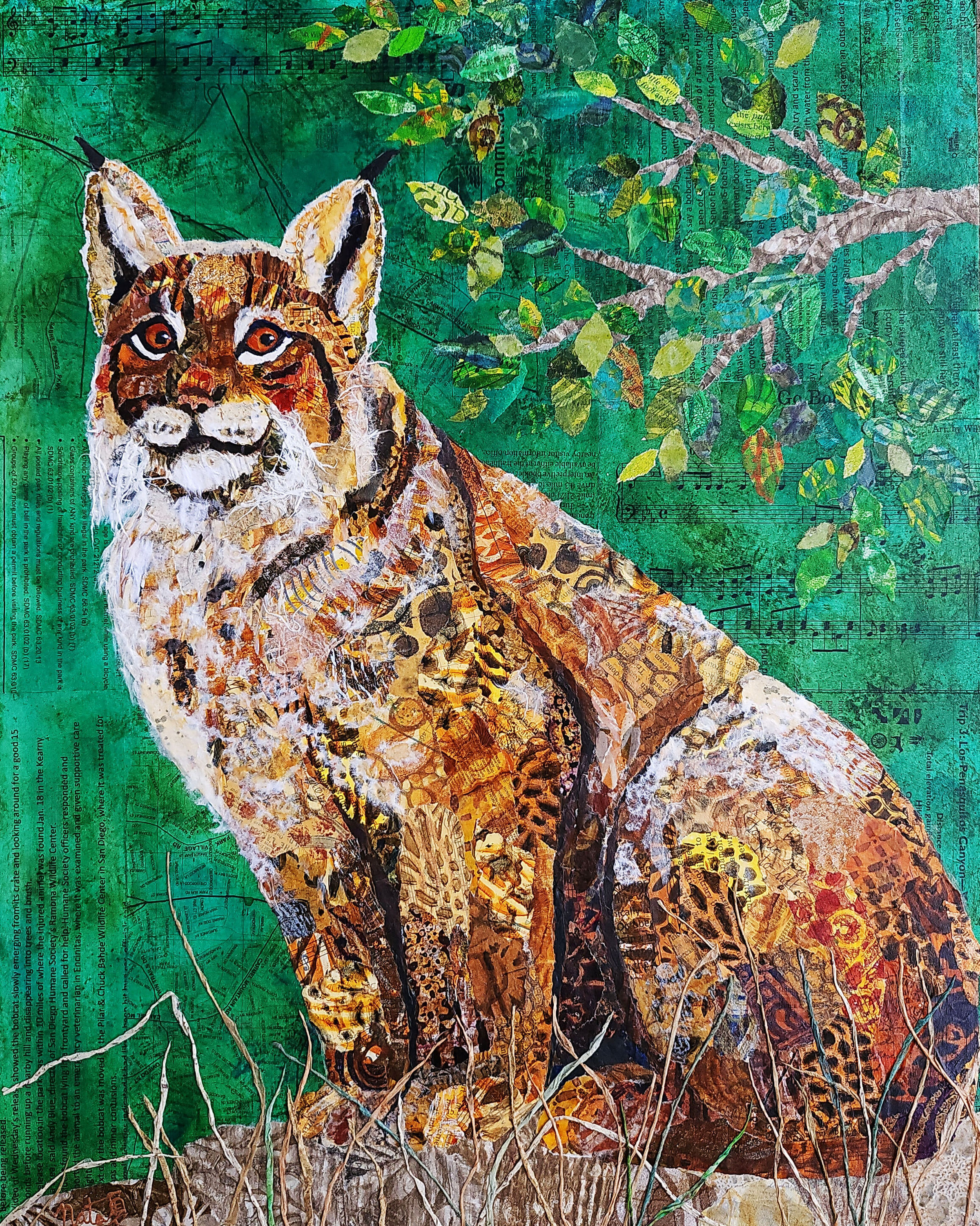 Wild Neighbors: Bobcat