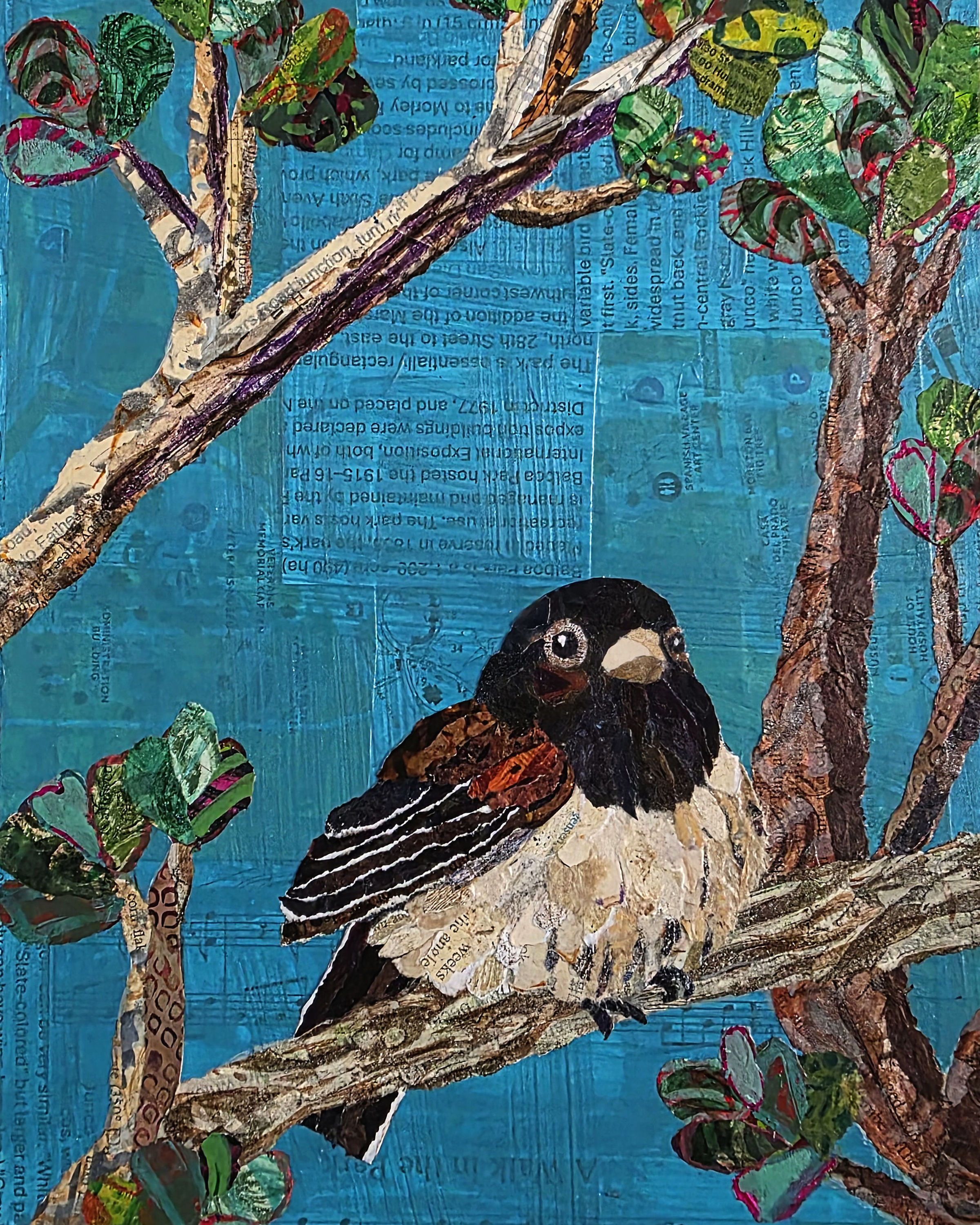 Birds of Balboa Park: Dark-eyed Junco - Reproductions