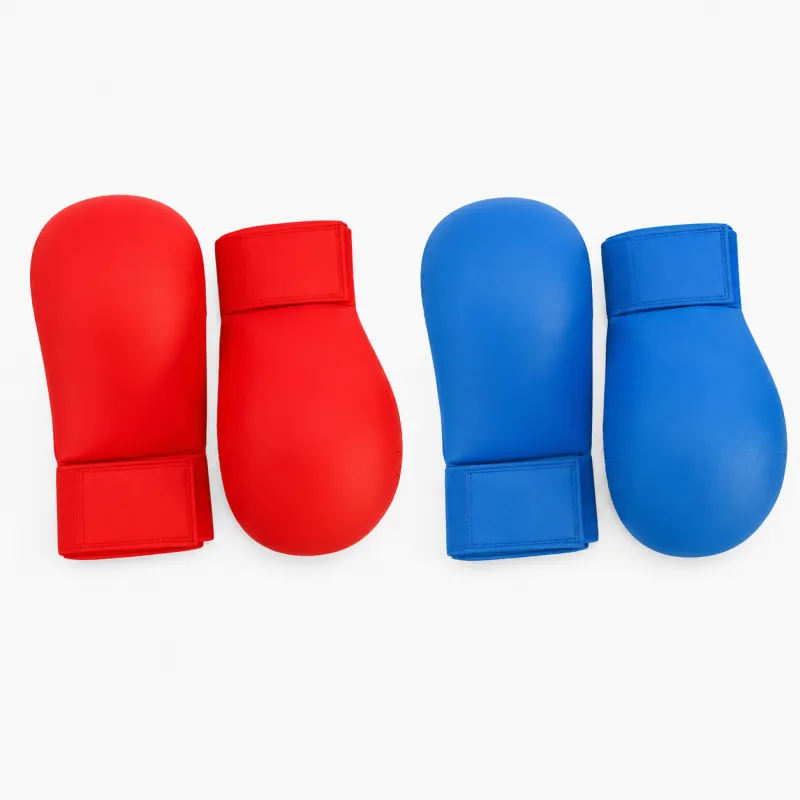 Karate Gloves