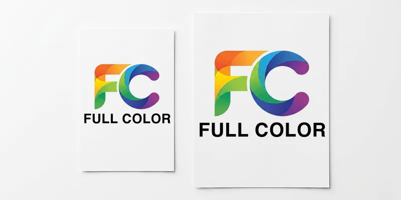 Full Color Flyers (500 Pack)
