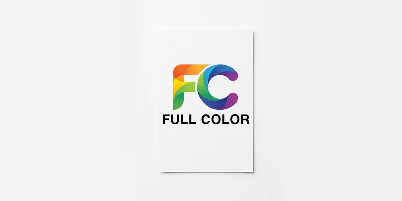Full Color Flyers (500 Pack)
