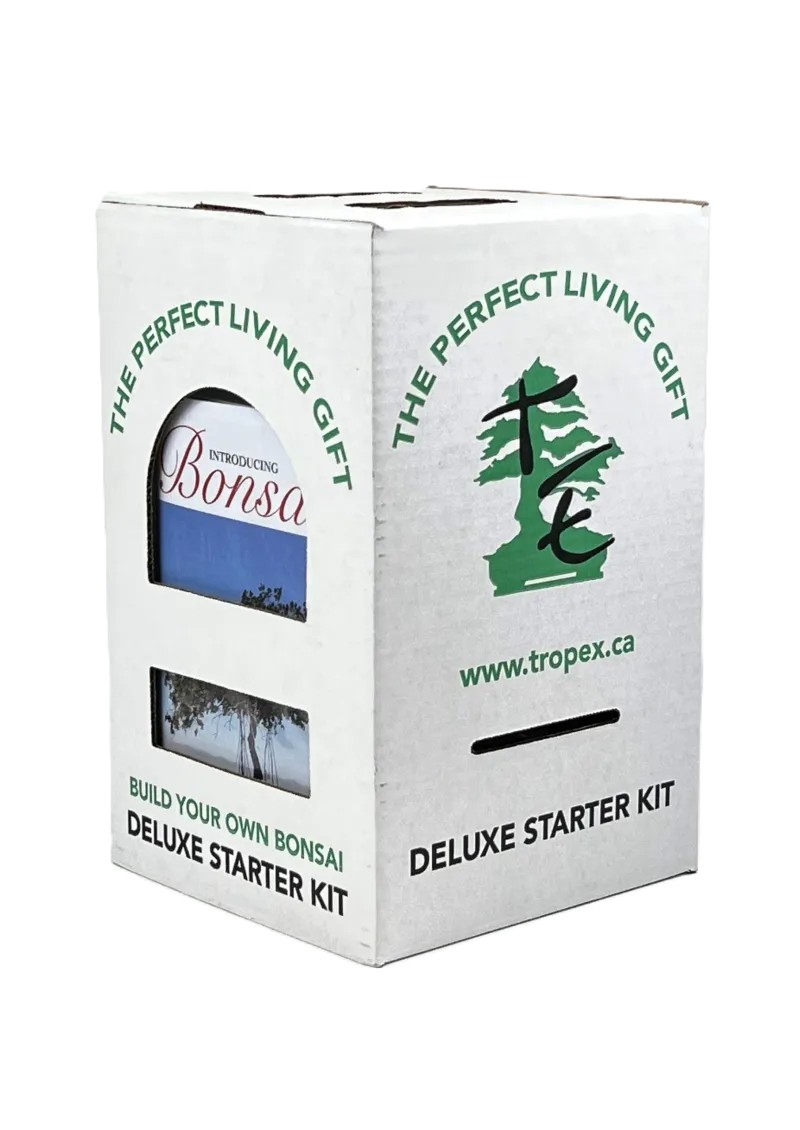 10 Piece Deluxe Bonsai Starter Kit