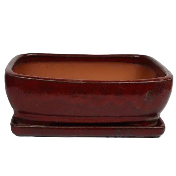 10" Glazed Bonsai pot w/ Unattached saucer