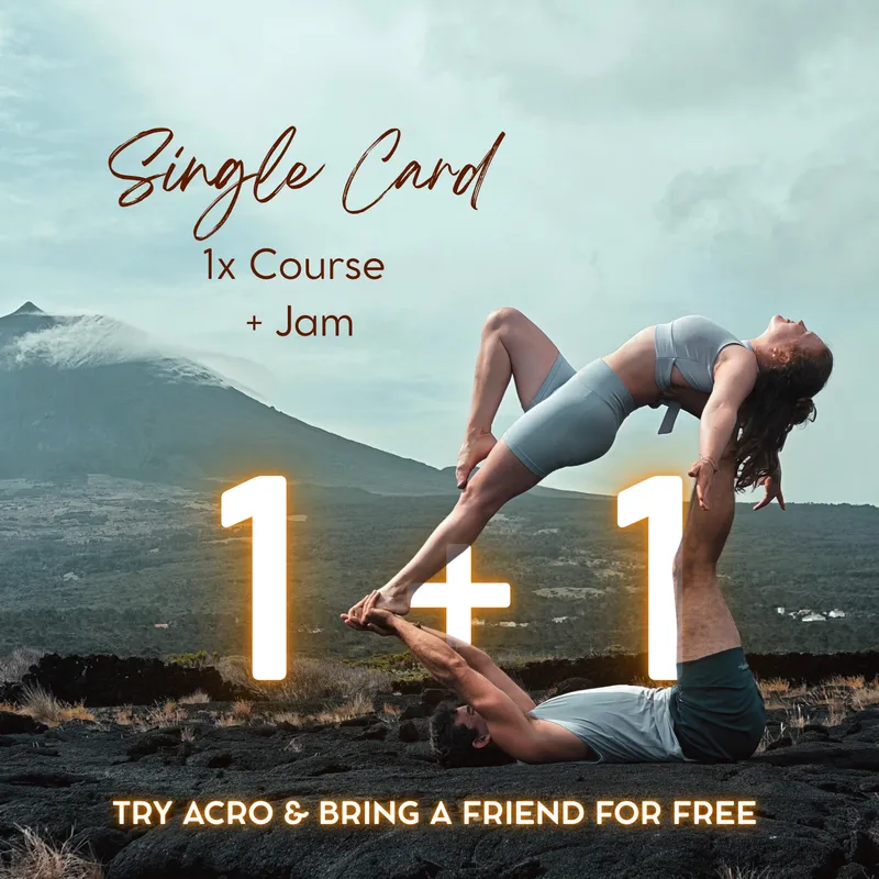1+1 Single Card