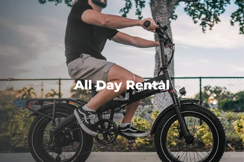 All Day Rental 