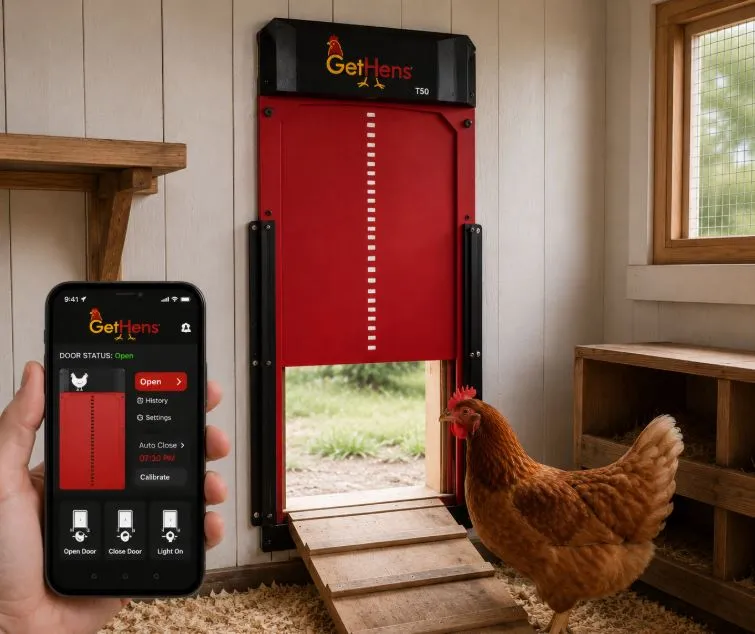 Automatic Chicken Coop Door – Installed