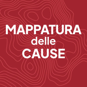 Mappatura delle Cause