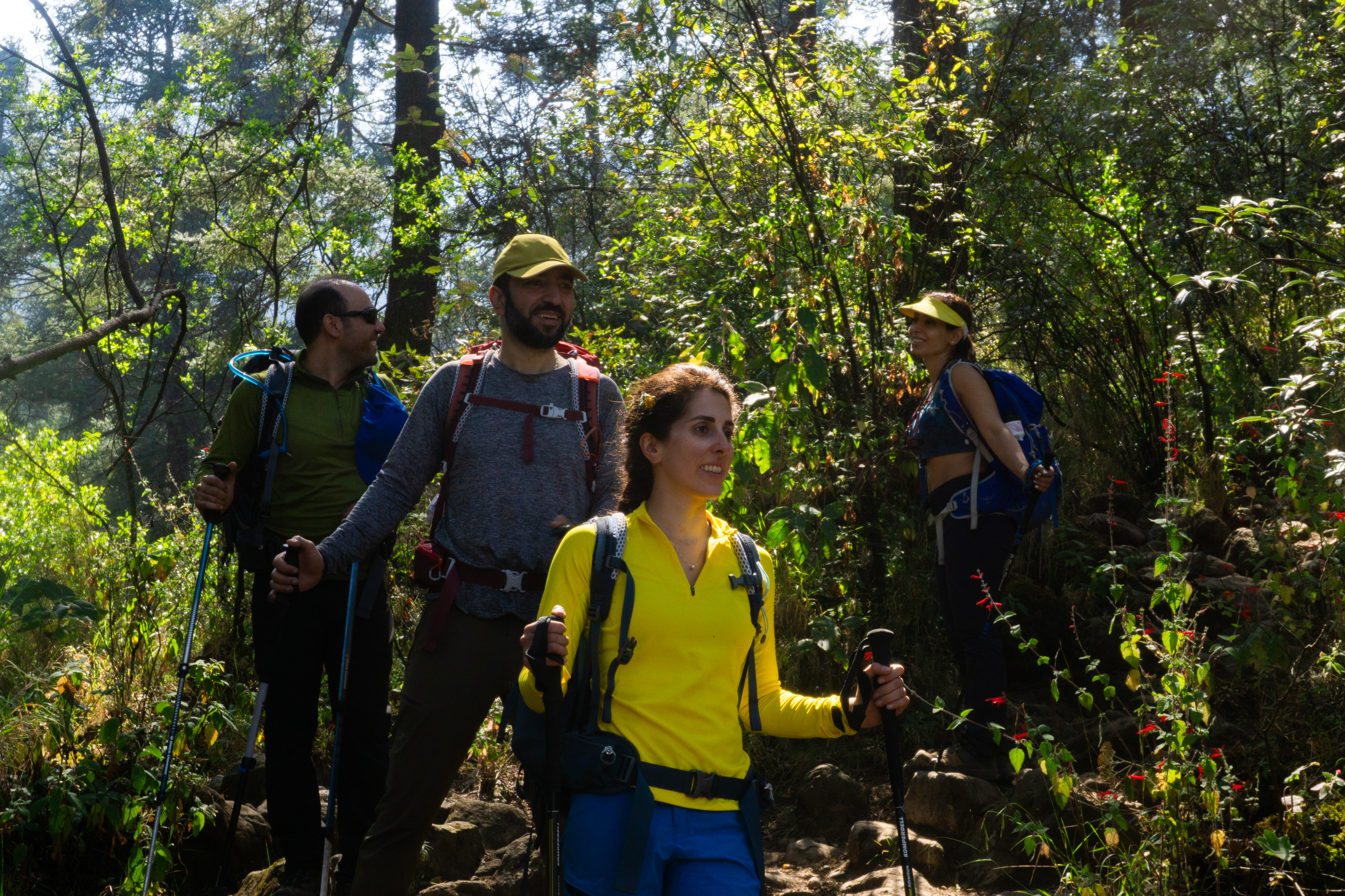 Friends hiking through the pine forest on Ajusco