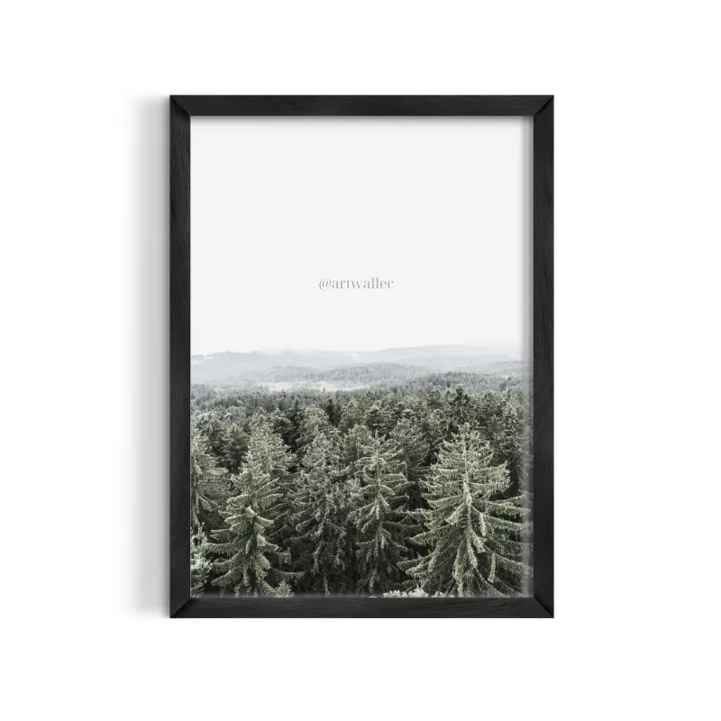 Cuadro Fotográfico Bosque de Pinos Bruma Nórdica