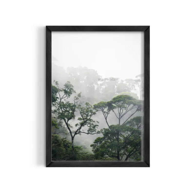Cuadro Fotográfico Selva Tropical y Neblina – Estilo Bosque Nublado