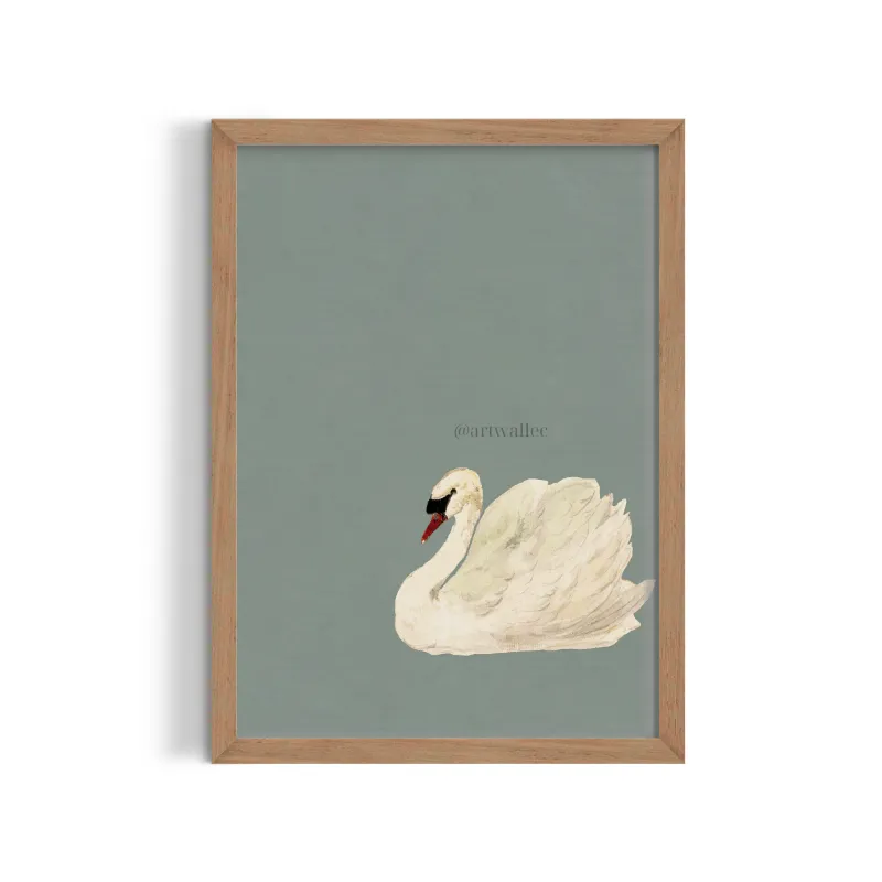 Cuadro Cisne Vintage – Estilo Ilustración Clásica