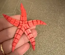 Flexi Starfish