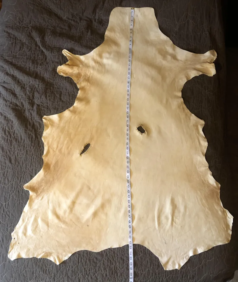 Smoke & Brain Tan Buckskin #1